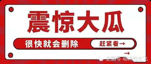 吃瓜娱乐视频网站大全