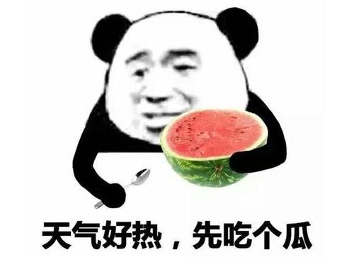 吃瓜的表情该怎么回复,揭秘网络社交中的趣味与心理
